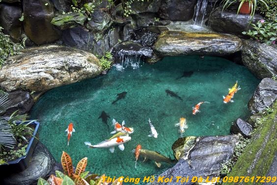 Hồ cá koi mini xinh như ý tại thành phố Đà Lạt?