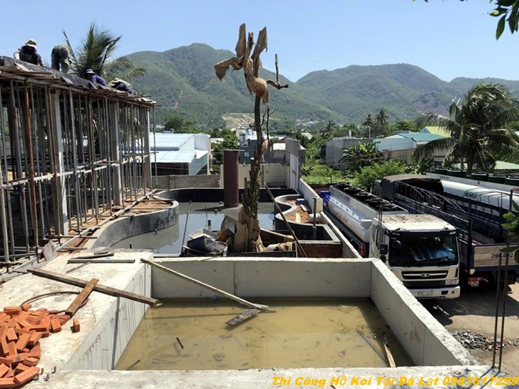 Thi công bể cá koi tại xã Tân Việt huyện Bảo Lâm