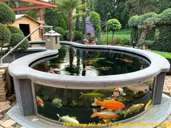 Thi công hồ cá koi mini cho căn hộ nhỏ tại xã Gia Bắc huyện Di Linh