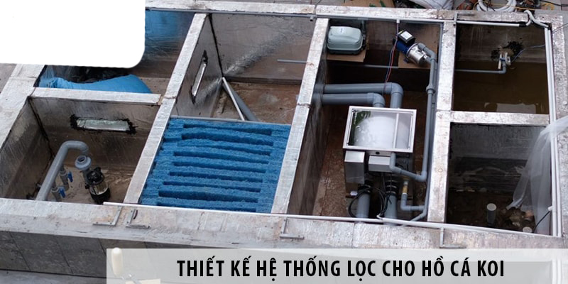 Chủng loại máy móc thiết Bị Cần Thiết Cho Hồ Cá Koi Tại Lâm Đồng