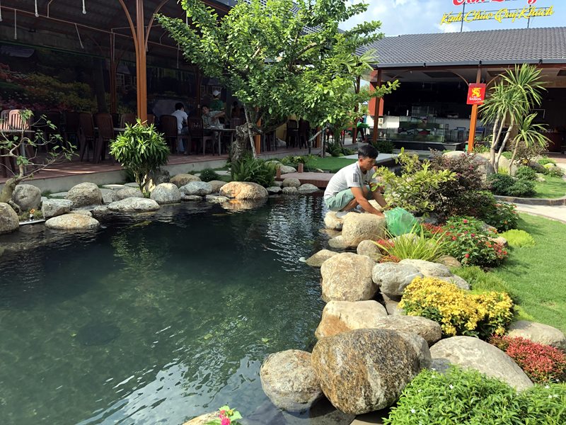 3 điều cần lưu tâm trong thiết kế thi công hồ cá koi tại xã Bình Thạnh huyện Đức Trọng